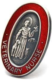nurse badge google search nurse badge nurse school badges