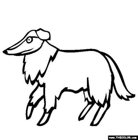 dogs  coloring pages