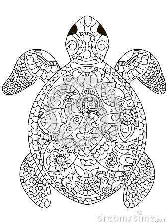 image result  turtle colouring pages  adults malbuch vorlagen