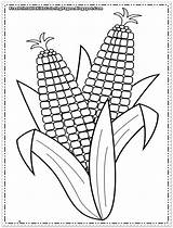 Corn Coloring Cob Ear Pages Printable Template Crops Indian Sheets Colouring Color Kids Print Getcolorings Sheet Printables Drawing Popular Choose sketch template