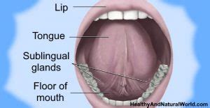 painful sores bumps  blisters  tongue   treatments