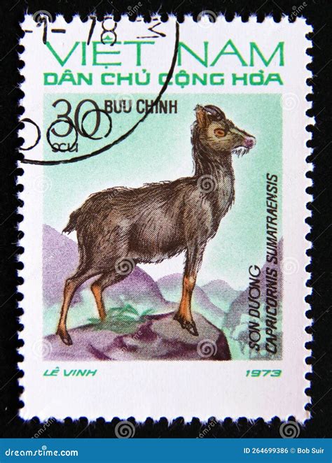 postage stamp vietnam  sumatran serow capricornis sumatraensis