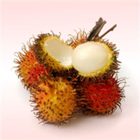 lychee calories calg  nutrition facts calorie