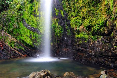 El Yunque National Rainforest Río Grande Puerto Rico