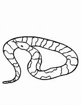 Sarpe Colorat Viper Serpi Desene Colorare Vipera Planse Imagini Hibernation Snakes Plansa Printmania sketch template