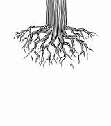 Tree Drawing Roots Sketch Illustration Root Paintingvalley Drawings Stem Life Choose Board Artwork sketch template