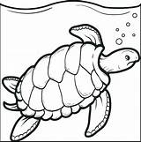 Turtle Pages Coloring Cute Getcolorings sketch template