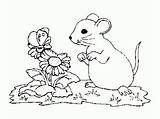 Coloring Mouse Pages Kids Children Print Fans Adult Group Justcolor sketch template
