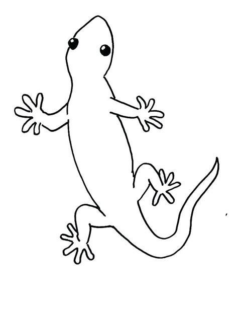 gecko coloring pages  coloring pages  kids animal coloring