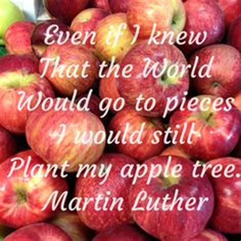 knew   world    pieces    plant  apple tree martin