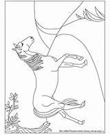 Cavalli Cavallo sketch template