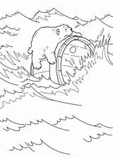 Ijsbeer Polar Lars Plume Colorir Avontuur Little Coloriages Ours Ursinho Osito Coloriez Kolorowanki Zo Chomik Rubrique Ursos Choisis Tes Druku sketch template