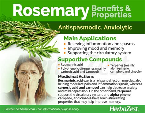 rosemary health benefits  rosemary health benefits healing
