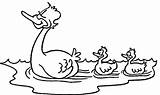 Ducklings Coloring Pages Duckling Clipart Supercoloring Categories sketch template