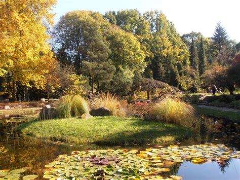 arboretum szkoly glownej gospodarstwa wiejskiego rogow lodzkie