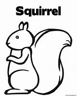 Squirrel Coloring Kids Pages Print Printable Cartoon Easy Simple Clipart Cliparts Color Prints Outline Dog Library sketch template