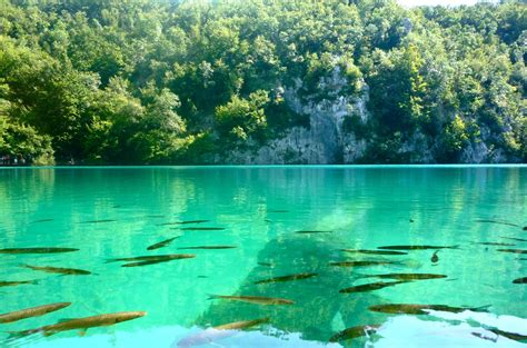 A Luminescent Lake Plitvice National Park Croatia Imgur