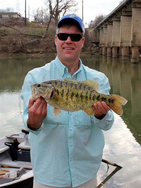 Texas Angler Catches Record Guadalupe Bass On Colorado River
