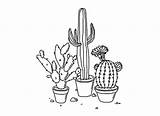 Cactus Tumblr Aesthetic Drawing Plant Coloring Pages Clipart Transparent Drawings Cacti Cute Succulents Blackandwhite Sticker Plants Flower Clip Getdrawings Gif sketch template