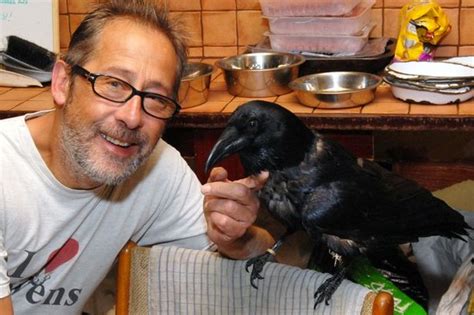 Help Find Two Ravens Missing From Bird Sanctuary Get Reading