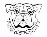 Bulldog Cartoon Drawing Getdrawings sketch template