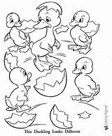 Ugly Duckling Coloring Pages Printable Color Below Click Sheet sketch template