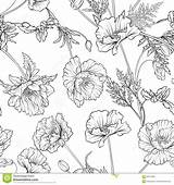 Naadloos Patroon Botanische Uitstekende Origineel sketch template
