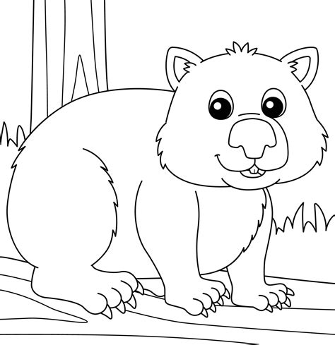 pagina  colorear de animales wombat  ninos  vector en