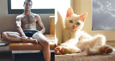 sexy male models meet sexy kittens the hottest thing on the internet