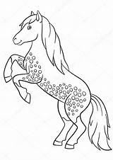 Animali Cavallo Fattoria Kleurplaten Kleurplaat Paarden Ferme Beau Cheval Coloration Paard Bellissimo St2 Vettoriali Mayka Veulen sketch template