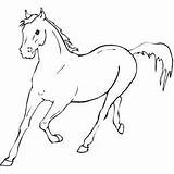 Horse Coloring Pages Running Printable Galloping Print Color Horses Head Printables Drawing Dinosaur Getcolorings Sheets Colouring Freeprintablecoloringpages Getdrawings Kids Colorings sketch template