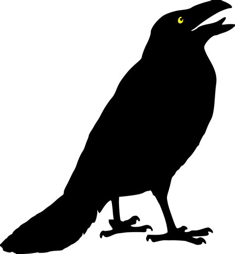 crow black  white    clipartmag