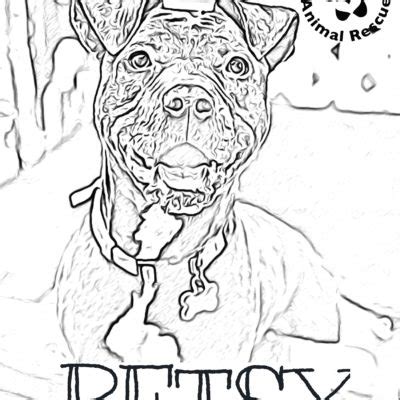 rescue dog coloring pages north meck animal rescue