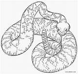 Schlange Ausmalbilder Ausdrucken Snakes Reptiles Malvorlagen Cool2bkids sketch template