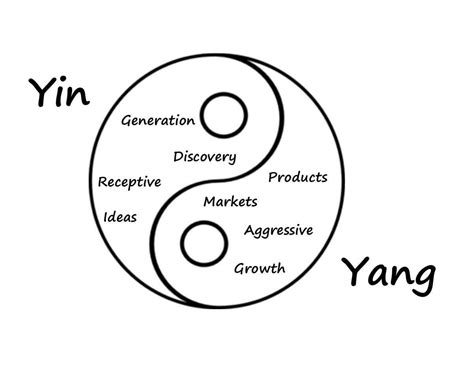 yin    entrepreneurship