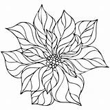 Poinsettia Element sketch template