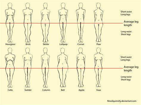 female proportions tumblr in 2019 body shape chart body sketches body drawing