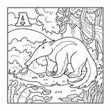 Anteater Incolore Illustrazione Lettera Formichiere Colorless Lettere Segni Alfabeto Pesce Starts sketch template