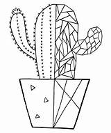 Cactus Succulent Kaktus Pages Ausmalbilder Cacti Ausdrucken sketch template
