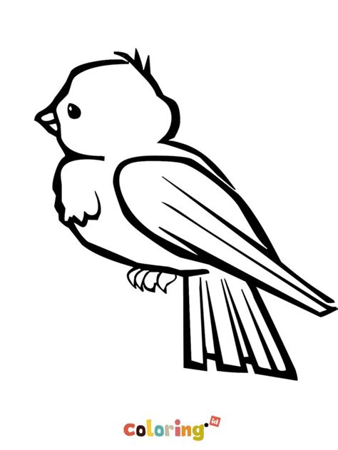 coloring pages printable bird preschool bird  animal coloring pages