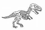 Bone Skelett Dinosaurier Coloringonly Dinosaurs Ausdrucken Stegosaurus sketch template