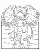 Coloring Macmillan Zendoodle Big Animals Elephant Books Magnificent Pages Color Animal sketch template