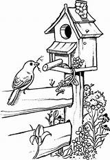 Bird Drawing Coloring House Drawings Pages Birdhouse Houses Birdhouses Fence Pyrography Stamps Patterns Easy Pencil Sketches Birds Line Para Burning sketch template