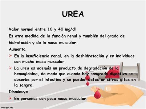 valores normales de urea en sangre