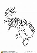Squelette Dinosaure Fossile Rex Gros Hugolescargot Skelet sketch template