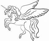 Unicorno Colorare Disegni Coloring Winged sketch template