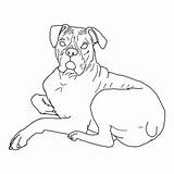 Boxer Dog Coloring Pages Down Lying Color Print Printable Bowl Kids Template Getcolorings Button Using Paper Grab Feel Right Also sketch template