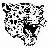 Coloring Pages Jaguar Jaguars Jacksonville Car Head Animal Getcolorings Shee Color sketch template