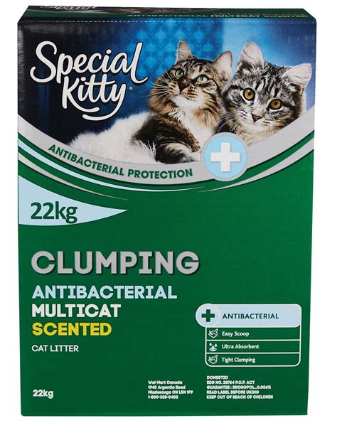 premium special kitty clumping cat litter  kg  walmartca