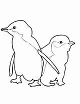 Penguin Coloring Pages Cute Blue Little Penguins Printable Fairy Kids Baby Two Crafts Animals Nature Drawings Getdrawings Choose Board sketch template
